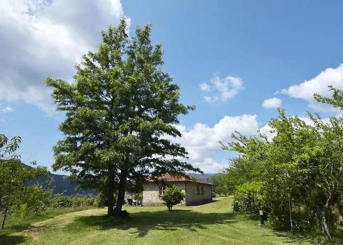 Casa Da Ramada, Turismo Espaco Rural. 別荘 ポンテ・デ・リマ